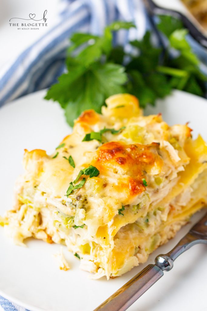 The BEST Chicken and Broccoli Lasagna! Tender chicken is layered with broccoli, lasagna noodles, and a rich and creamy cheese sauce!