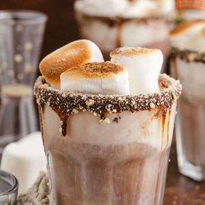 This boozy Bailey's S'mores Float is the most refreshing way to get your s'mores fix without the fire! Baileys plus S'mores is a match made in heaven.