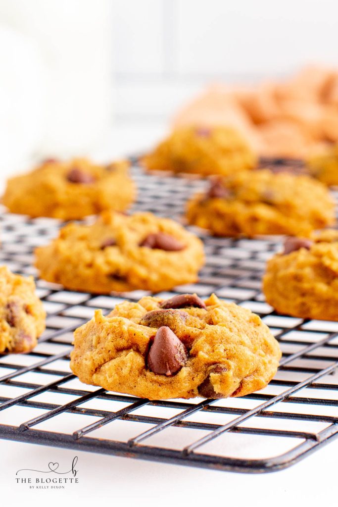 Pumpkin Chocolate Chip Cookies are soft and chewy with just the perfect amount of pumpkin flavor and chocolate chips! Pumpkin cookies are so delicious and wonderful to make for holidays like Thanksgiving and Christmas!