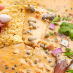 Loaded Queso Dip is full of flavor, packed with beef, beans, cheese, and even beer! Perfect appetizer with chips at parties or on game day!