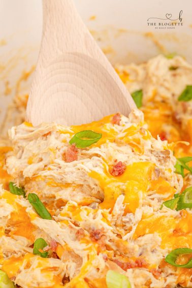 Crock Pot Crack Chicken
