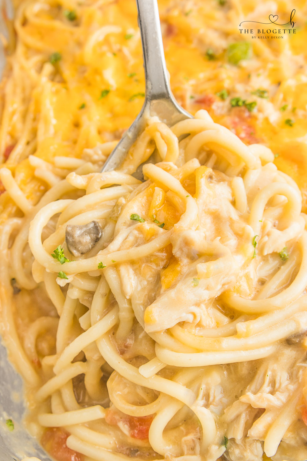 Chicken Spaghetti Casserole is a creamy and comforting dinner with spaghetti, shredded chicken, and a decadent, flavorful, rich sauce.
