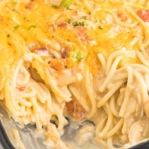 Chicken Spaghetti Casserole is a creamy and comforting dinner with spaghetti, shredded chicken, and a decadent, flavorful, rich sauce.