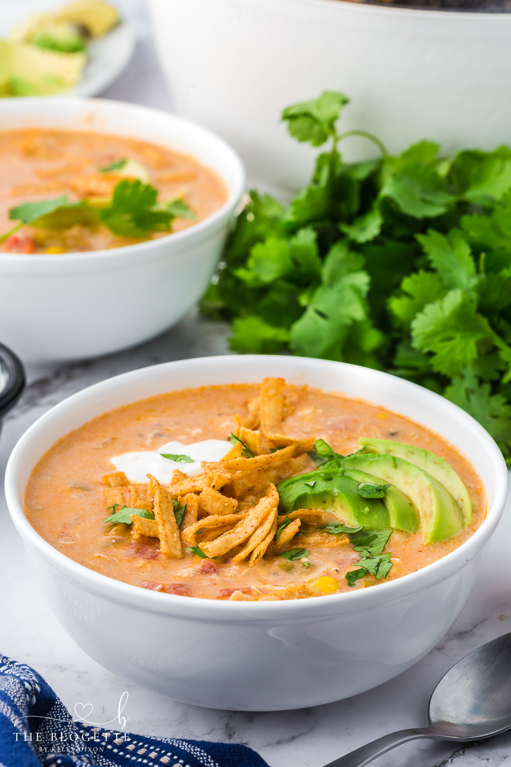 This Chicken Enchilada Soup is thick, creamy, cheesy, and ready to go in just 20 minutes! It can be made on the stove top or crock-pot. EASY!