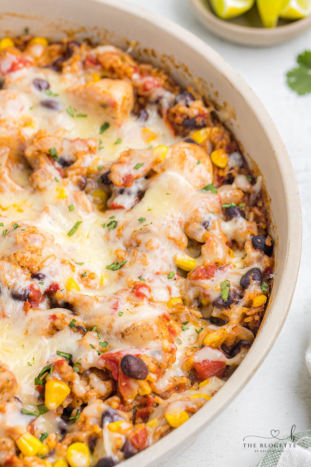 One-pan Tex Mex Chicken and Rice packed with chicken, rice, tomatoes, beans, corn, chilies, and ooey gooey melted cheese! 