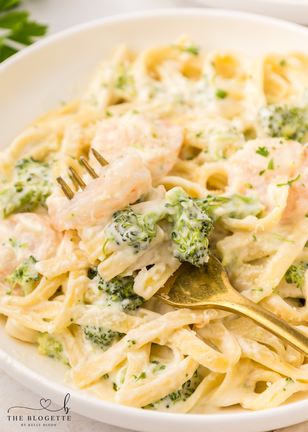 Shrimp Alfredo - done in less than 30 minutes!