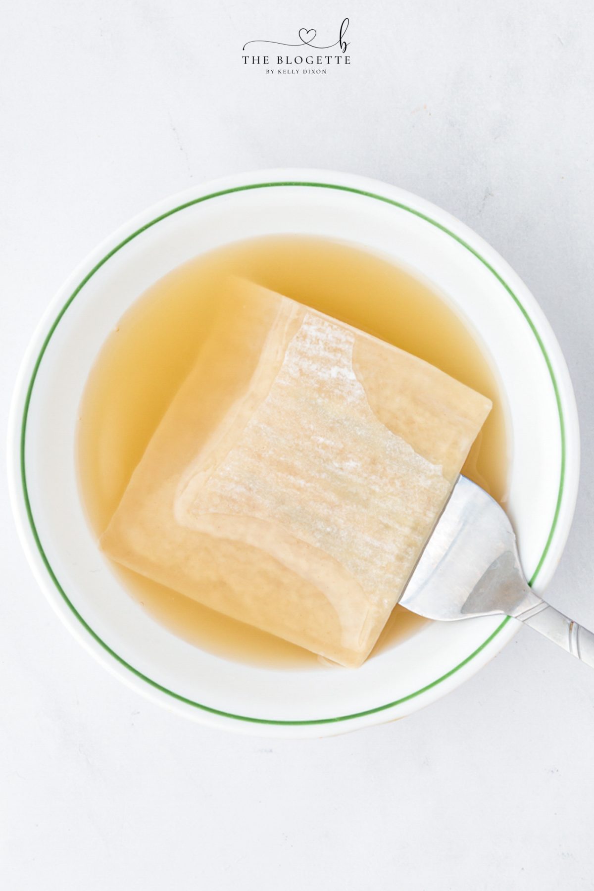 dip the wonton wrappers one by one in the chicken stock