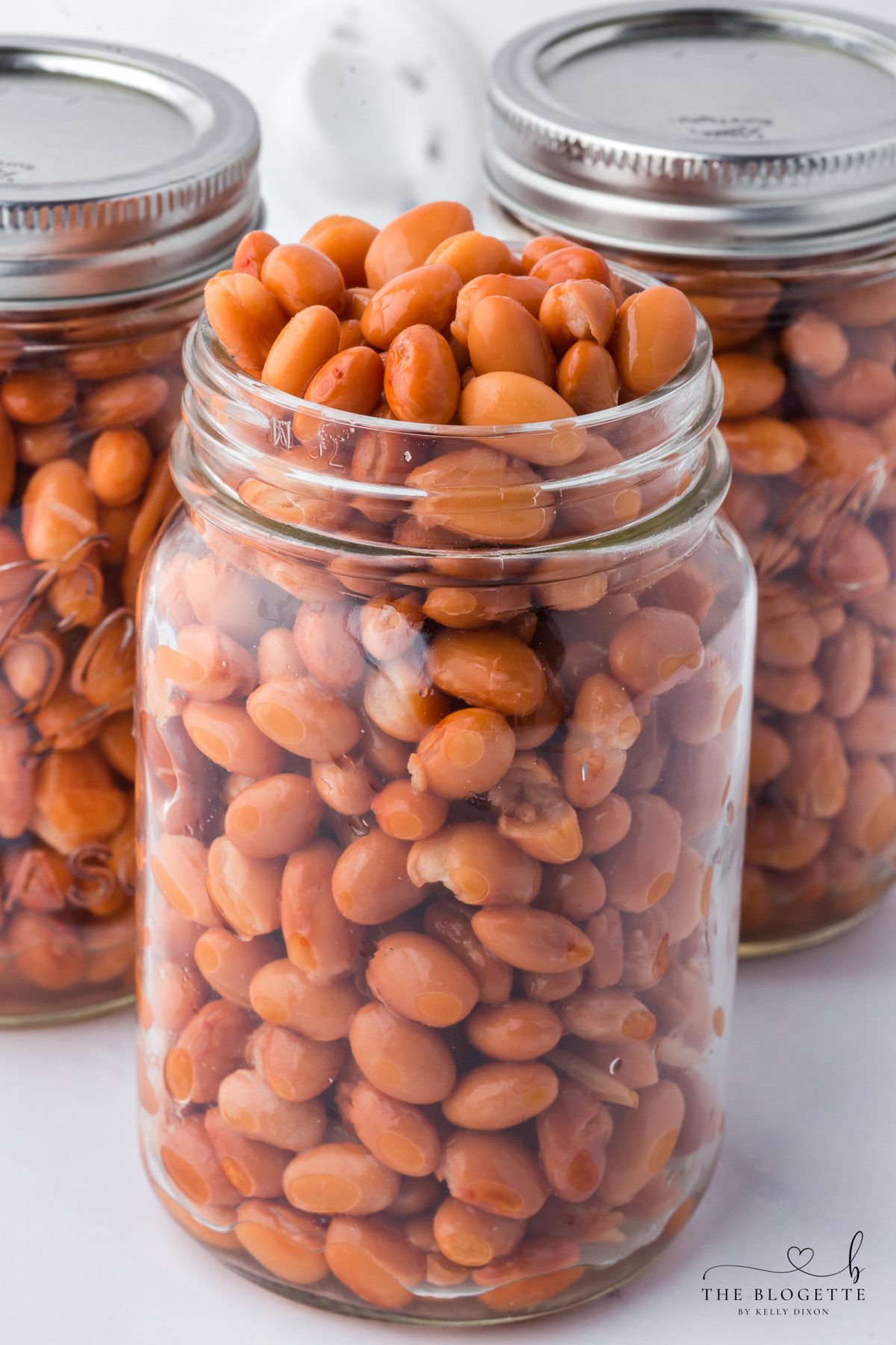 Crockpot Freezer Beans